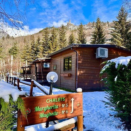 Bijoux Des Alpes - Mont Blanc Village La Salle Eksteriør bilde